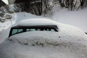 IMG_8056.JPG