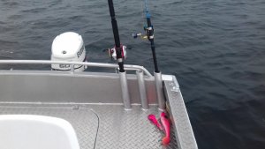 20170426_153139.jpg 20170426_153139.jpg