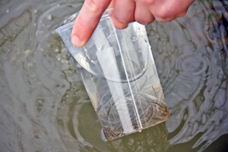 a7 Glasaalbesatz.webp