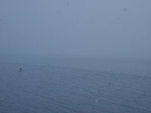 P1015716.jpg P1015716.jpg