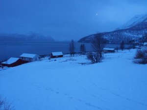 P1015711.jpg P1015711.jpg