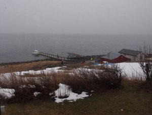 P1015714.jpg P1015714.jpg