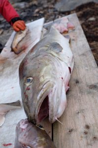 DSCF1282.jpg DSCF1282.jpg