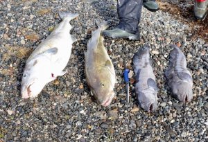 DSCF1326.jpg DSCF1326.jpg