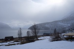 DSCF1351.jpg DSCF1351.jpg