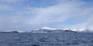 DSCF1318 (1).jpg DSCF1318 (1).jpg