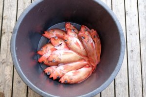 DSCF1364.jpg DSCF1364.jpg