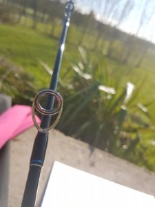 20170510_183051.jpg