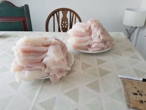 WhatsApp Image 2017-05-11 at 21.24.32.jpeg WhatsApp Image 2017-05-11 at 21.24.32.jpeg