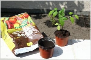 IMG_5064.comp.jpg IMG_5064.comp.jpg