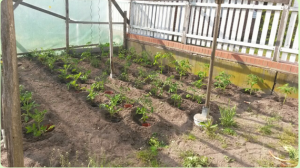 upload_2017-5-14_15-45-34.png upload_2017-5-14_15-45-34.png