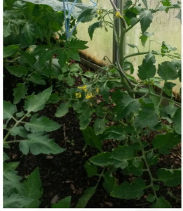 upload_2017-5-14_16-22-8.png upload_2017-5-14_16-22-8.png