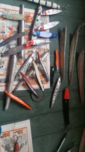 IMG-20170514-WA0002.jpeg IMG-20170514-WA0002.jpeg