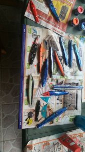 IMG-20170514-WA0000.jpeg IMG-20170514-WA0000.jpeg