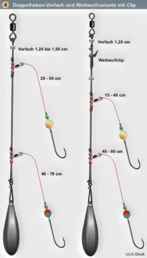 dop_bra.webp dop_bra.webp