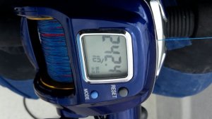 IMG-20170524-WA0006.jpg IMG-20170524-WA0006.jpg