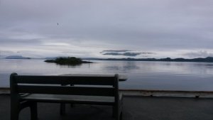 20170525_213937.jpg 20170525_213937.jpg