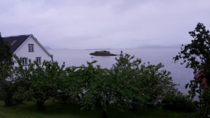 IMG-20170525-WA0016.jpg IMG-20170525-WA0016.jpg