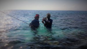 20170423_075336 - Kopie.jpg