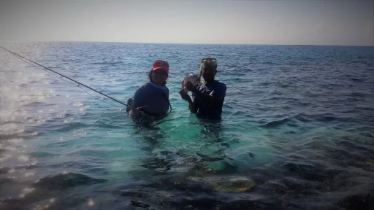 20170423_075336 - Kopie.webp