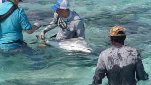 20170429_091340 - Kopie.jpg