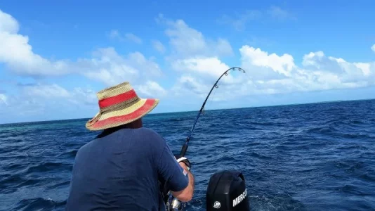 20170528_112936 - Kopie.webp