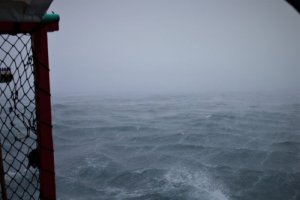 IMG_6124 - Kopie.JPG