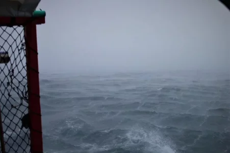 IMG_6124 - Kopie.webp