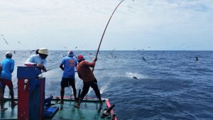 20170603_110936 - Kopie.jpg