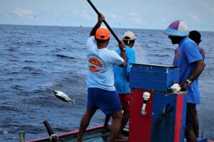 IMG_6148 - Kopie.JPG