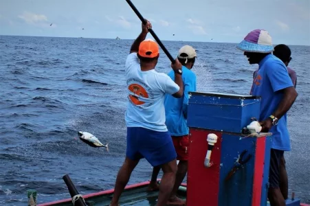 IMG_6148 - Kopie.webp