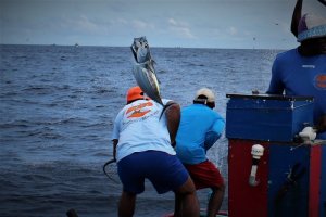 IMG_6158 - Kopie.JPG