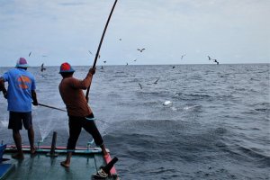 IMG_6160 - Kopie.JPG