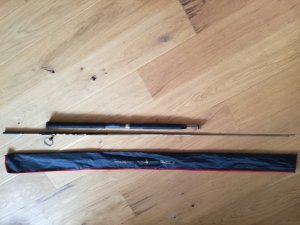 IMG_20170611_121526.jpg
