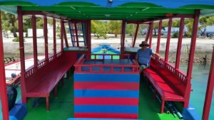 IMG-20170620-WA0002.jpg IMG-20170620-WA0002.jpg