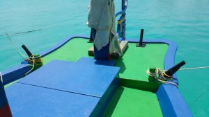 IMG-20170620-WA0010.jpg IMG-20170620-WA0010.jpg