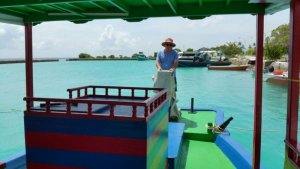 IMG-20170620-WA0014.jpg IMG-20170620-WA0014.jpg