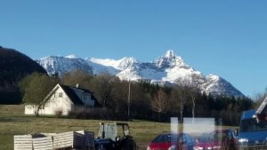 1496547540569.jpg 1496547540569.jpg