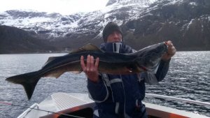 1496429178955.jpg 1496429178955.jpg