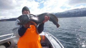 1496429183539.jpg 1496429183539.jpg