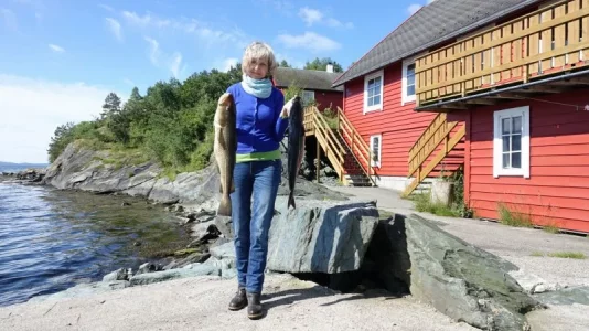 Dorsch Köhler.webp Dorsch Köhler.webp