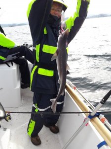 20170615_082218.jpg 20170615_082218.jpg