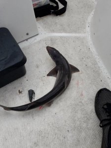 20170615_095349.jpg 20170615_095349.jpg
