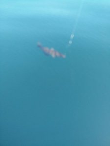 k-IMG_20170630_131749.jpg