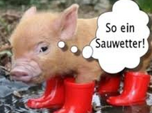 upload_2017-7-1_14-39-19.png upload_2017-7-1_14-39-19.png