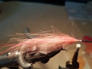 20170702_123229.jpg