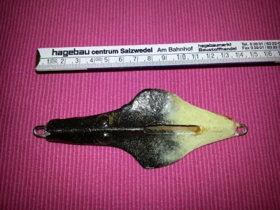 20130826_065221 (Andere).webp