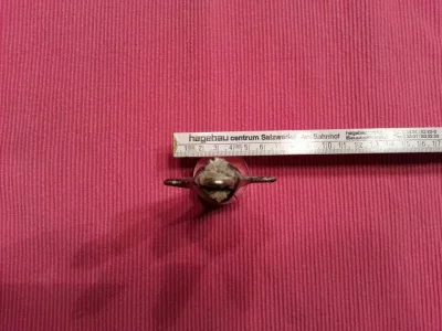 20130826_065336 (Andere).webp