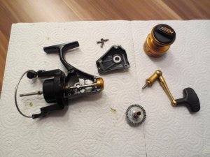 IMG_0328.jpg IMG_0328.jpg