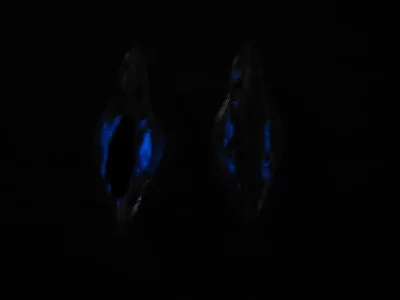 Kalmarpilker fluo 001.webp